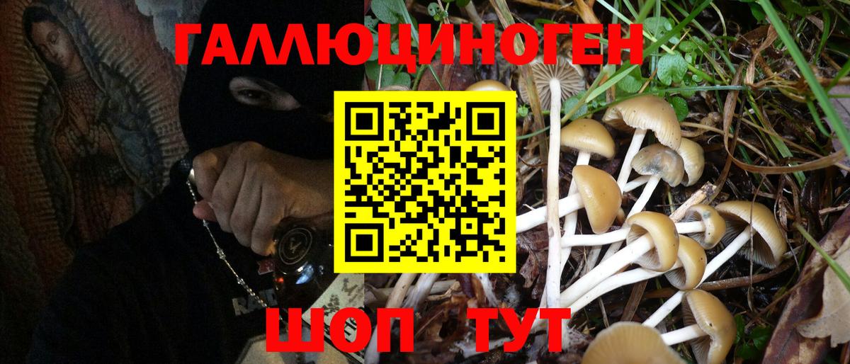 Псилоцибиновые грибы Magic Shrooms  Вход с VPN  Галлюциногенные грибы GOLDEN TEACHER  Бахчисарай 